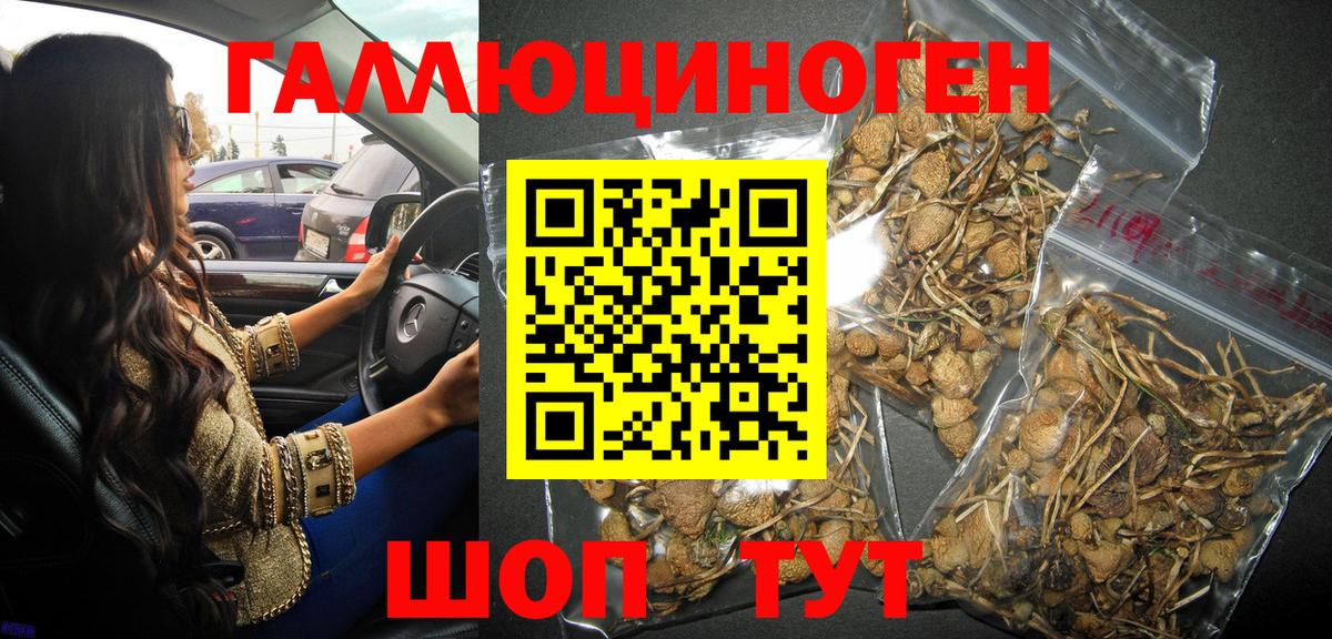 Галлюциногенные грибы прущие грибы Осинники