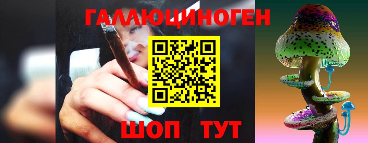 Галлюциногенные грибы прущие грибы  Галлюциногенные грибы мицелий  Вход с VPN  Осинники 